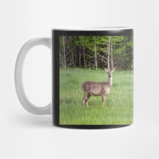 Deer in a Field 2 Mug